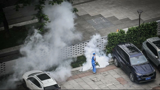 Bộ Y tế yêu cầu giám sát dịch bệnh Chikungunya ngay tại cửa khẩu