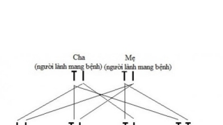 Bệnh wilson có di truyền không?