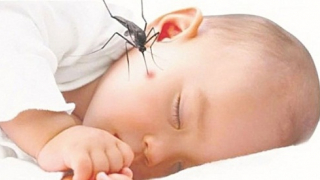 Biến chứng sau sốt xuất huyết
