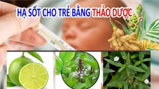 8 cách hạ sốt cho trẻ nhanh, an toàn bằng nguyên liệu dễ tìm trong tự nhiên