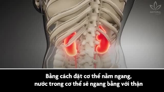 Uống nước trước khi đi ngủ có tác dụng gì?