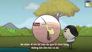 Mụn trứng cá hình thành như thế nào?