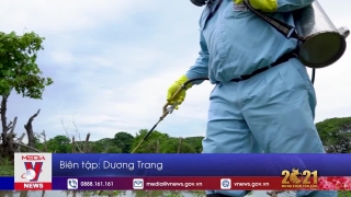 Quốc gia Trung Mỹ đầu tiên “xóa sổ” bệnh sốt rét