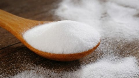Vì sao tế bào ung thư “nghiện” đường?