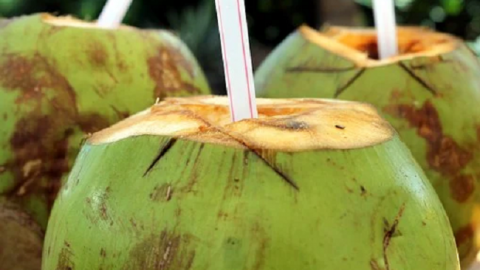 Cách uống nước dừa chuẩn nhất trong mùa nắng nóng