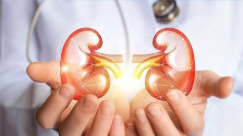 Vì sao người bệnh đái tháo đường dễ bị suy thận mạn?