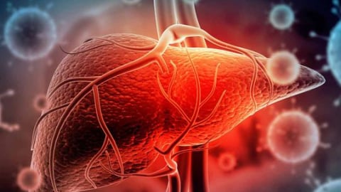 Viêm gan B và nguy cơ lây từ mẹ sang con