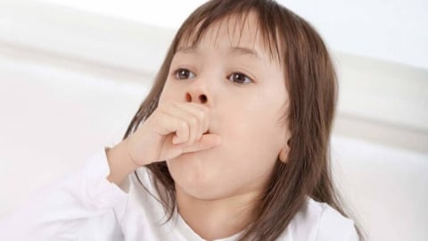 Nhận biết và phòng ngừa viêm mũi dị ứng đúng cách