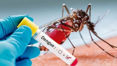 Hải Phòng: Tăng cường phòng, chống bệnh sốt xuất huyết Dengue