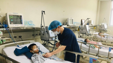 Hà Nội: Ghi nhận ca viêm não Nhật Bản đầu tiên trong năm 2024