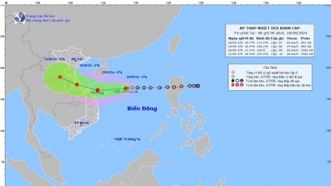 Thừa Thiên Huế: Chủ động ứng phó áp thấp nhiệt đới có khả năng mạnh lên thành bão