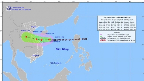 Thủ tướng chỉ đạo tập trung ứng phó áp thấp nhiệt đới có khả năng mạnh lên thành bão và mưa lũ