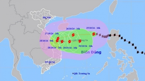 Quảng Ngãi: Khẩn trương triển khai các biện pháp ứng phó bão số 6 (TRAMI)