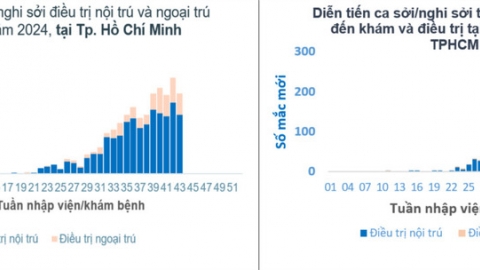 TP. Hồ Chí Minh: Trẻ nhỏ dưới 9 tháng mắc sởi đang có dấu hiệu gia tăng