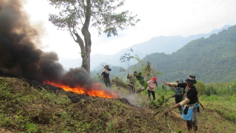 Lai Châu: Tăng cường công tác quản lý, bảo vệ rừng và phòng cháy, chữa cháy rừng mùa khô năm 2024 - 2025