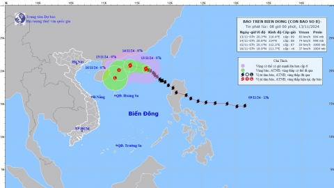 Cập nhật tình hình cơn bão số 8 (TORAJI) tính đến 7h sáng ngày 13/11
