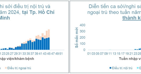 TP. Hồ Chí Minh: Tình hình dịch bệnh sởi tính đến tuần 45