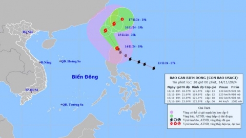 Bộ Nông nghiệp và PTNT chỉ đạo các địa phương ven biển ứng phó với bão USAGI gần biển Đông