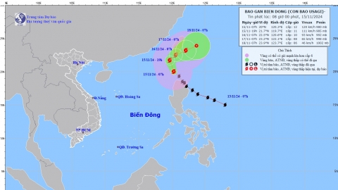 Tin bão gần Biển Đông - Cơn bão số 9 (USAGI)