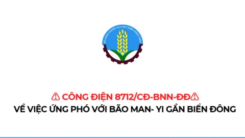 Bộ Nông nghiệp và Phát triển nông thôn yêu cầu ứng phó với bão MAN-YI gần biển Đông