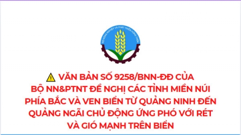 Chủ động ứng phó với rét và gió mạnh trên biển