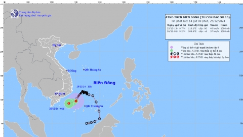 Tin áp thấp nhiệt đới trên Biển Đông