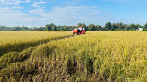 Ban hành Bộ chỉ tiêu giám sát, đánh giá về nông nghiệp, nông dân và nông thôn