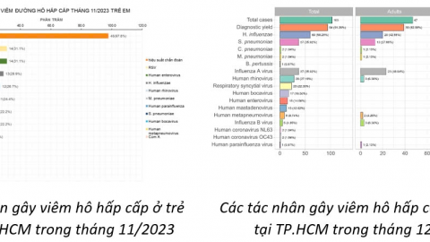 TP. Hồ Chí Minh: HMPV không phải là virus mới, từng được phát hiện là 1 trong những tác nhân gây viêm hô hấp ở trẻ em năm 2023, 2024