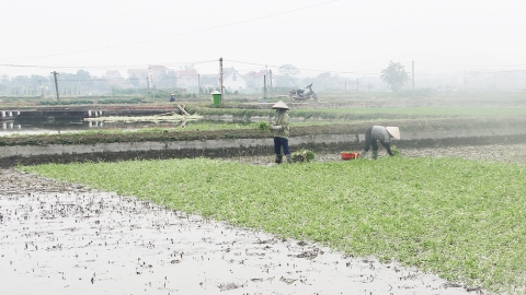 Bắc Giang: Chủ động ứng phó với không khí lạnh tăng cường