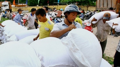 Hỗ trợ gạo cho tỉnh Sóc Trăng dịp Tết Nguyên đán Ất Tỵ