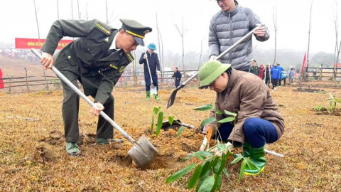 Yên Bái trồng trên 610 ha rừng trong ngày đầu ra quân Tết trồng cây