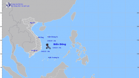 Tin cuối cùng về tình hình áp thấp nhiệt đới