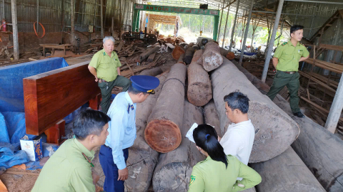 Tây Ninh: Kiểm tra, ngăn chặn mua bán, vận chuyển động vật hoang dã trái phép và chống phá rừng, lấn, chiếm rừng trái pháp luật