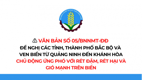 Các tỉnh, thành phố khu vực Bắc Bộ và ven biển chủ động ứng phó với rét đậm, rét hại và gió mạnh trên biển