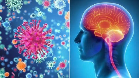 Đồng Nai: Đã điều trị thành công ca viêm màng não mô cầu đầu tiên năm 2025