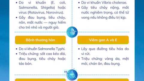 Infographic: Những bệnh thường gặp khi uống nước bị nhiễm bẩn