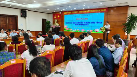 Yến giả, nhái, kém chất lượng tràn lan trên thị trường: Cần kiểm soát chặt chẽ khi nghĩ đến xuất khẩu