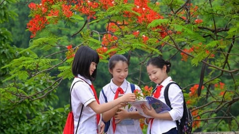 Thủ tướng chỉ đạo loạt vấn đề nóng đối với giáo viên và kỳ nghỉ hè của học sinh