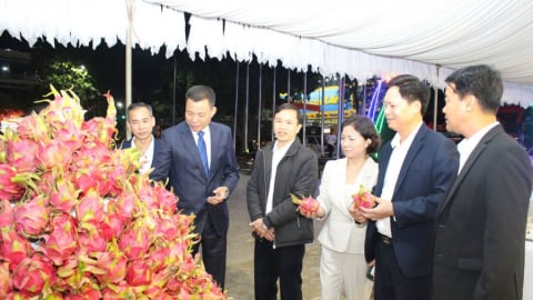 Sơn La: Xây dựng và phát triển nhãn hiệu chứng nhận “Thanh long Sơn La”