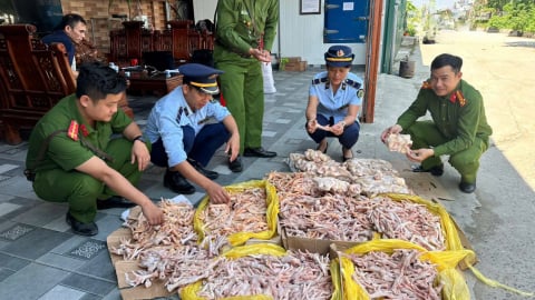 Nghệ An: Phát hiện gần 500kg chân gà, đuôi lợn không rõ nguồn gốc xuất xứ