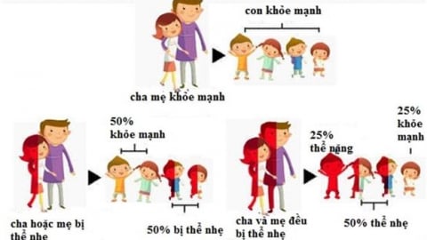 Bệnh tan máu bẩm sinh là gì?