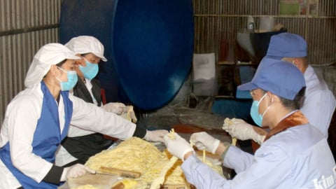 Sơn La: Xây dựng mã số vùng trồng cho các loại nông sản