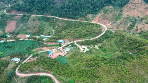 Sơn La: Huyện Vân Hồ tập trung chăm sóc cây ăn quả