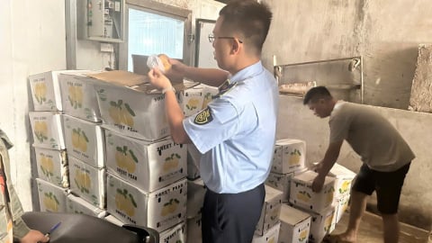 Thái Nguyên: Phát hiện, xử lý gần 1,2 tấn hoa quả không rõ nguồn gốc