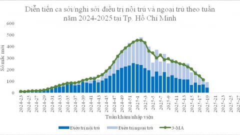 TP. Hồ Chí Minh: Ca mắc bệnh sốt xuất huyết giảm, tay chân miệng tăng