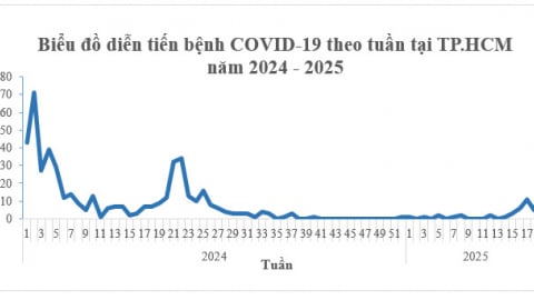 TP. Hồ Chí Minh: Số ca COVID-19 tăng nhẹ trong 4 tuần qua, không ghi nhận ca bệnh nặng