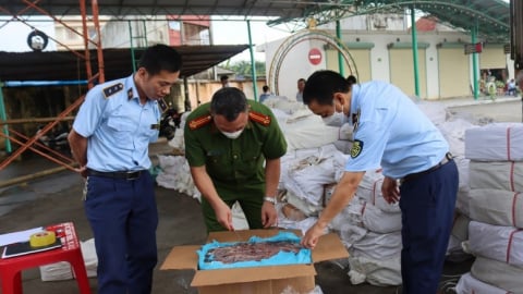 Mở đợt cao điểm ngăn chặn, đẩy lùi buôn lậu, gian lận thương mại từ 15/5 đến 15/6/2025