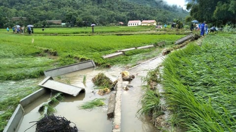 Yên Bái: Mưa lớn gây ngập lụt nhà dân và hơn 5ha nông nghiệp thiệt hại
