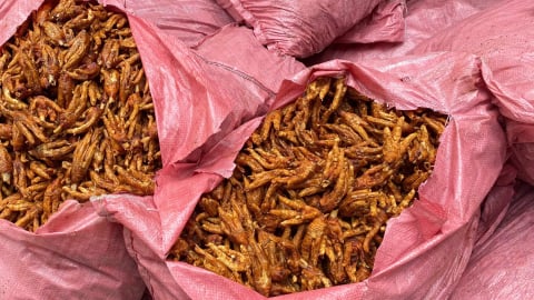 Lạng Sơn: Phát hiện, ngăn chặn 1.500 kg chân gà không rõ nguồn gốc xuất xứ