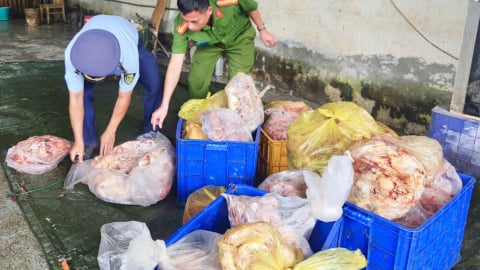 Hà Giang: Ngăn chặn trên 3,9 tấn thực phẩm đông lạnh không đảm bảo an toàn thực phẩm